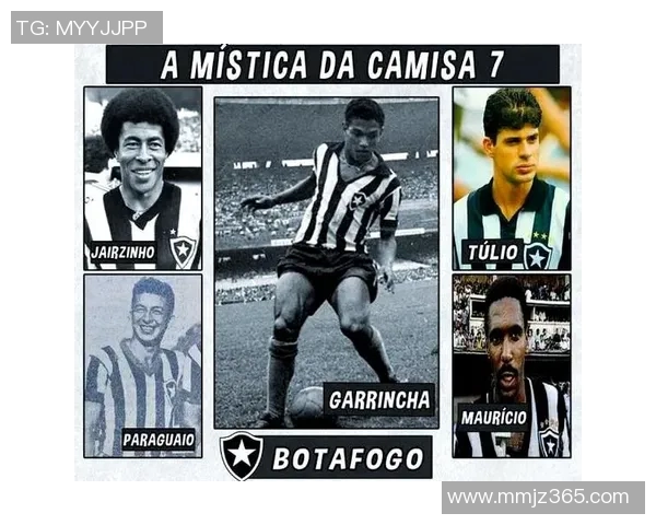 南美洲足球明星的传奇故事与辉煌成就探秘