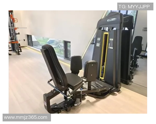 亿迈健身器材的质量与性能评测以及用户使用体验分享