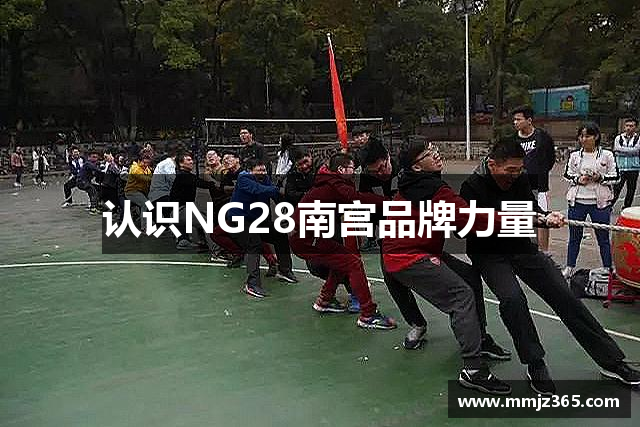认识NG28南宫品牌力量